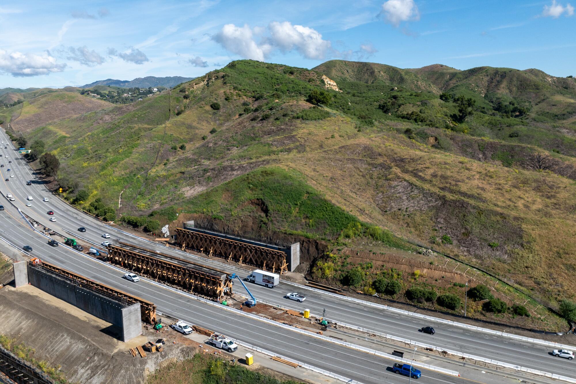 Initiative aims to boost wildlife crossings across California ...