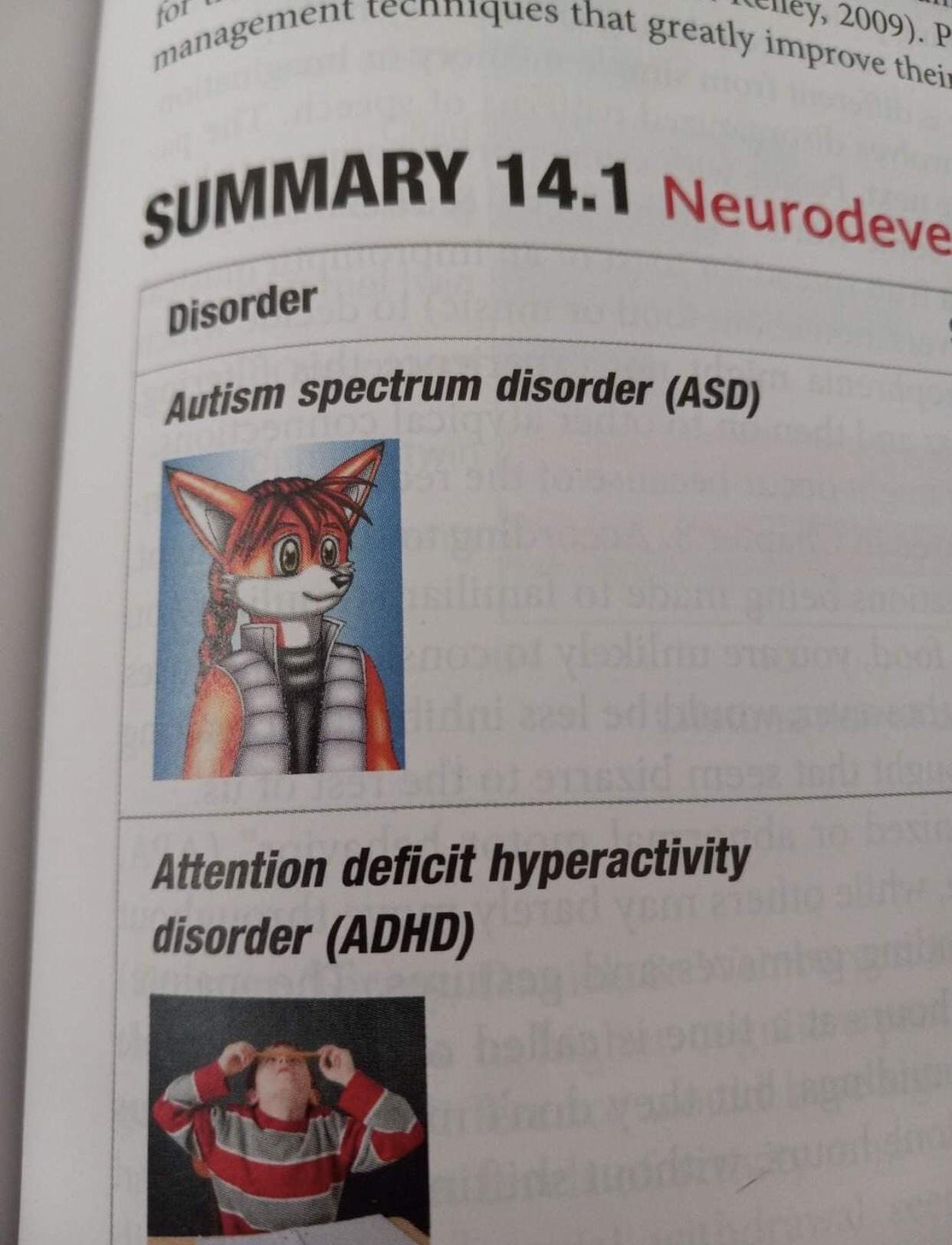 Autism is when anime furry : r/aspiememes