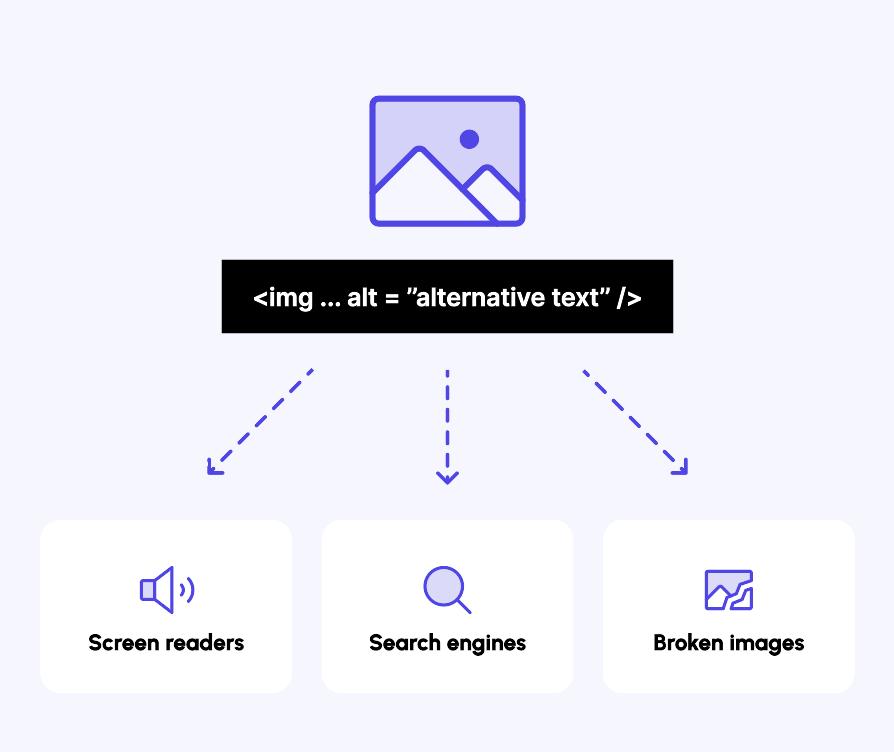Image Alt Text & Accessibility | Accessibly