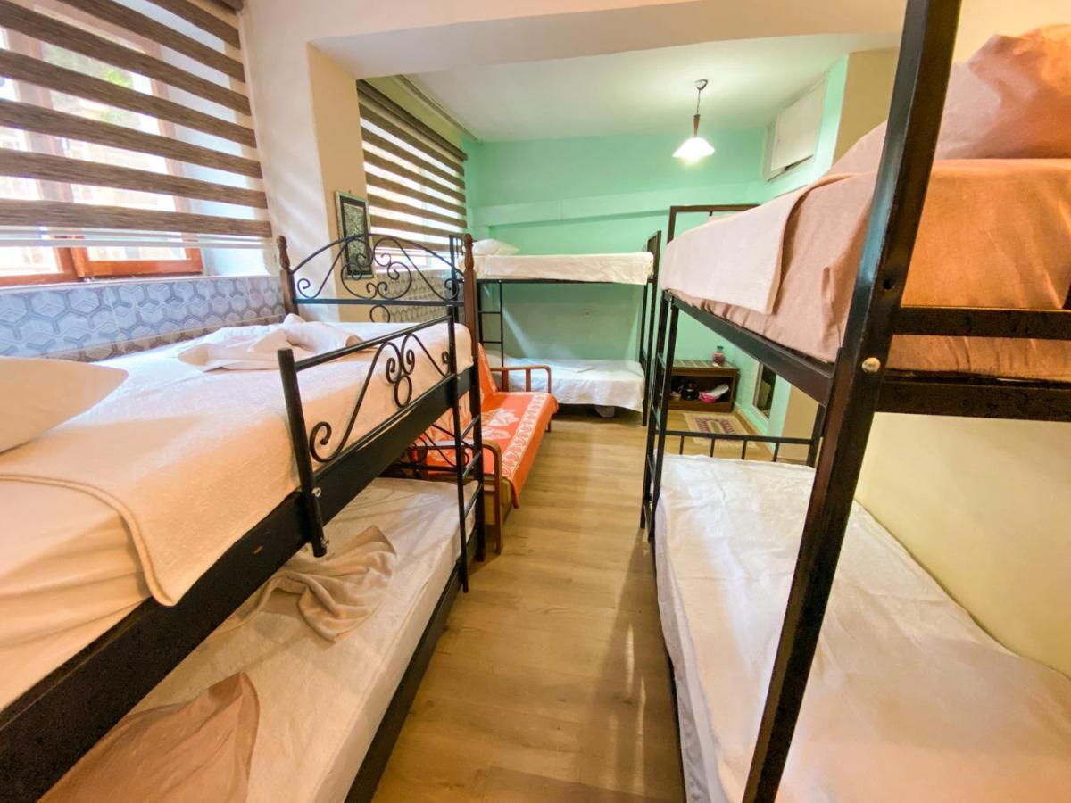 Bunk Bed Mixed Dormitory Room