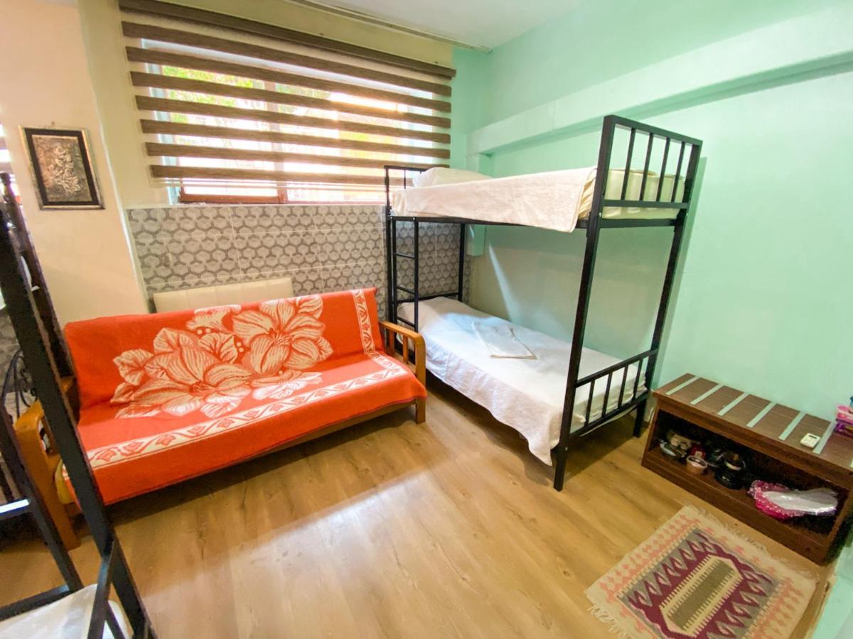 Bunk Bed Mixed Dormitory Room