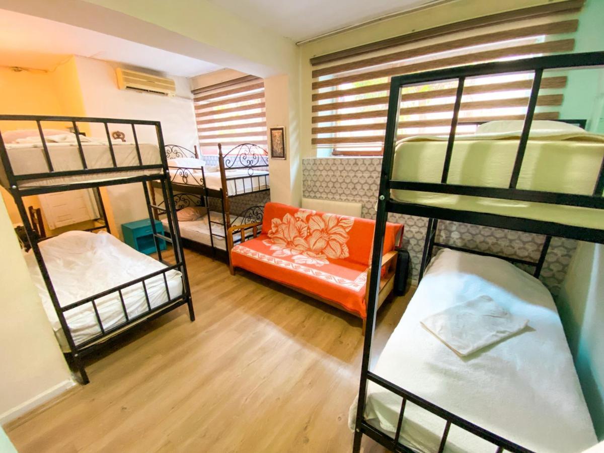 Bunk Bed Mixed Dormitory Room