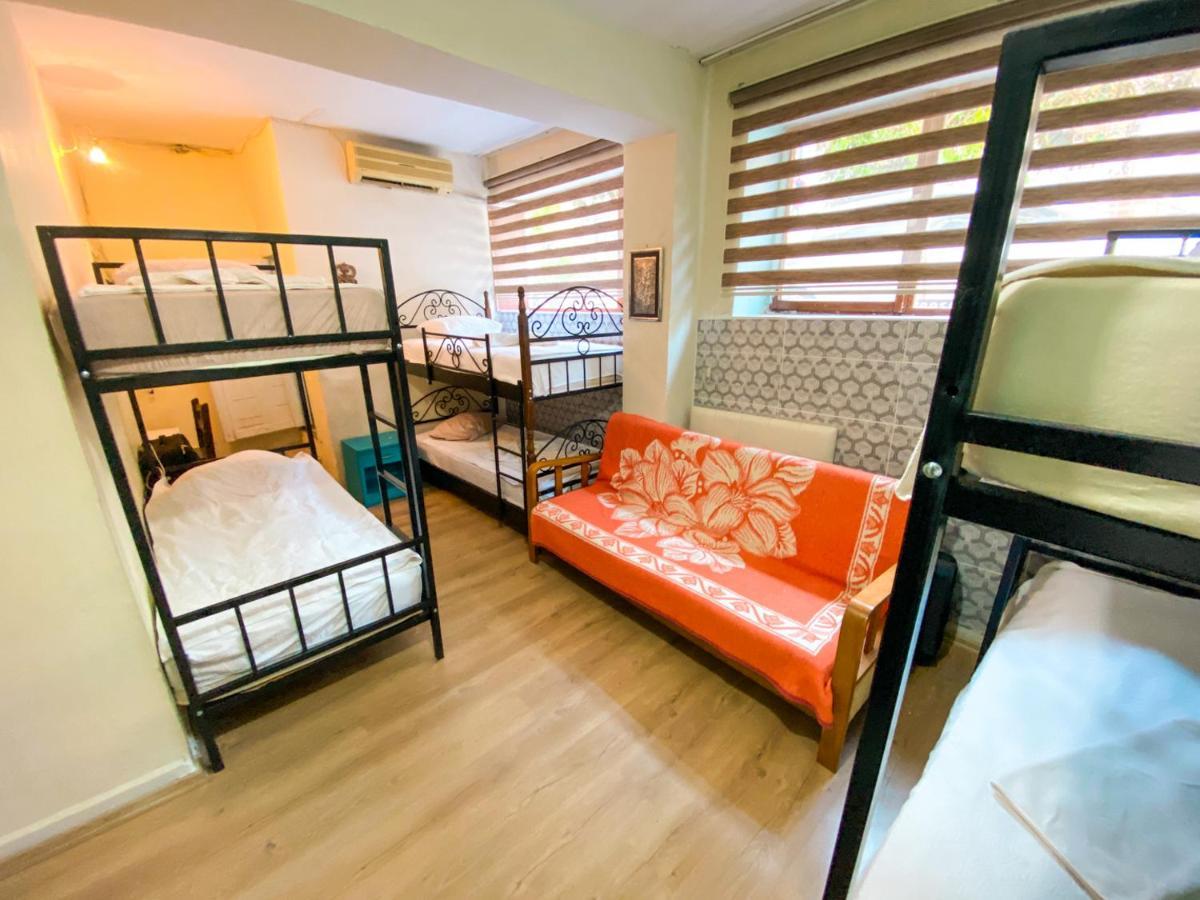 Bunk Bed Mixed Dormitory Room