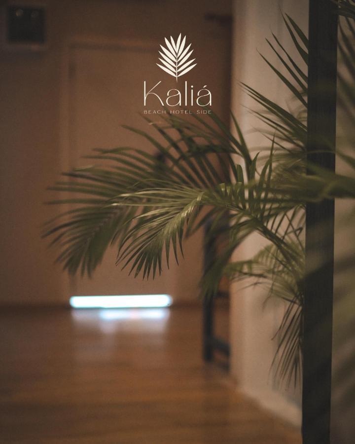 Duplex Quadruple Room