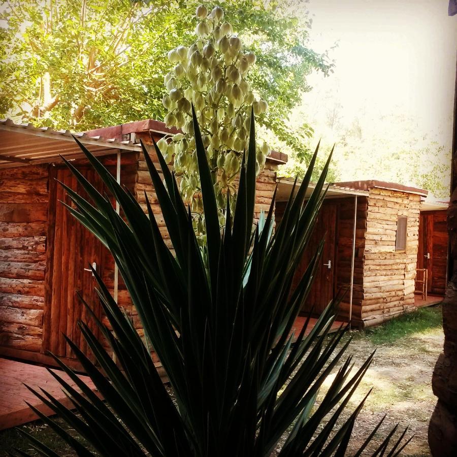 Standart Bungalov