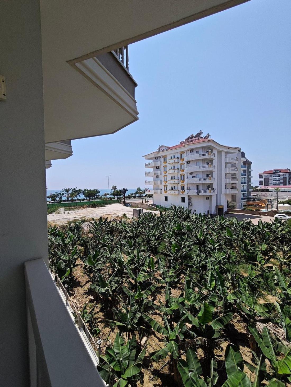Double or Twin Room Garden View