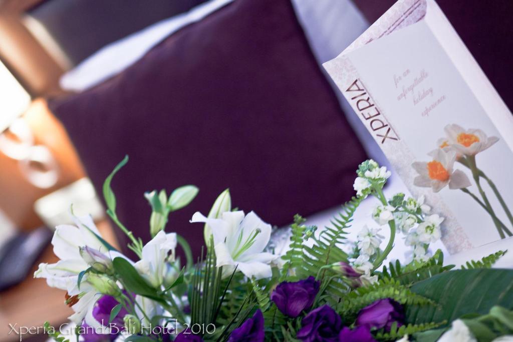 Standard Double Room,974645341:JPEG