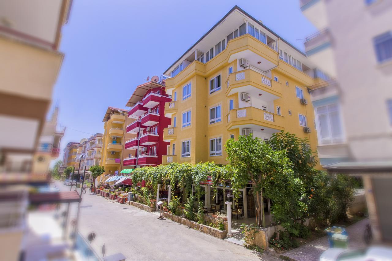 Economy Apartment