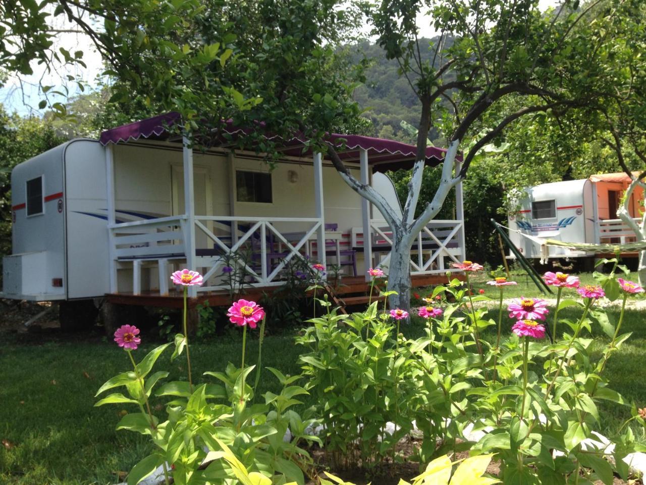 Triple Room Mountain View