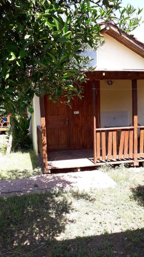 Family Room with Garden View,943247197:JPEG