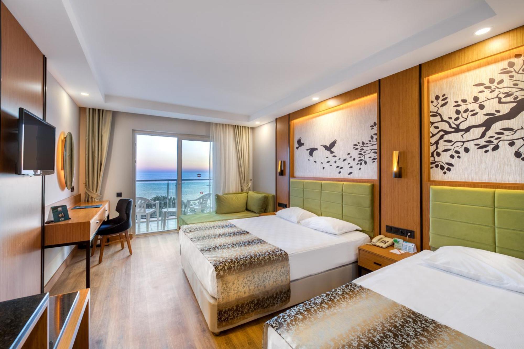 Standard Large Room