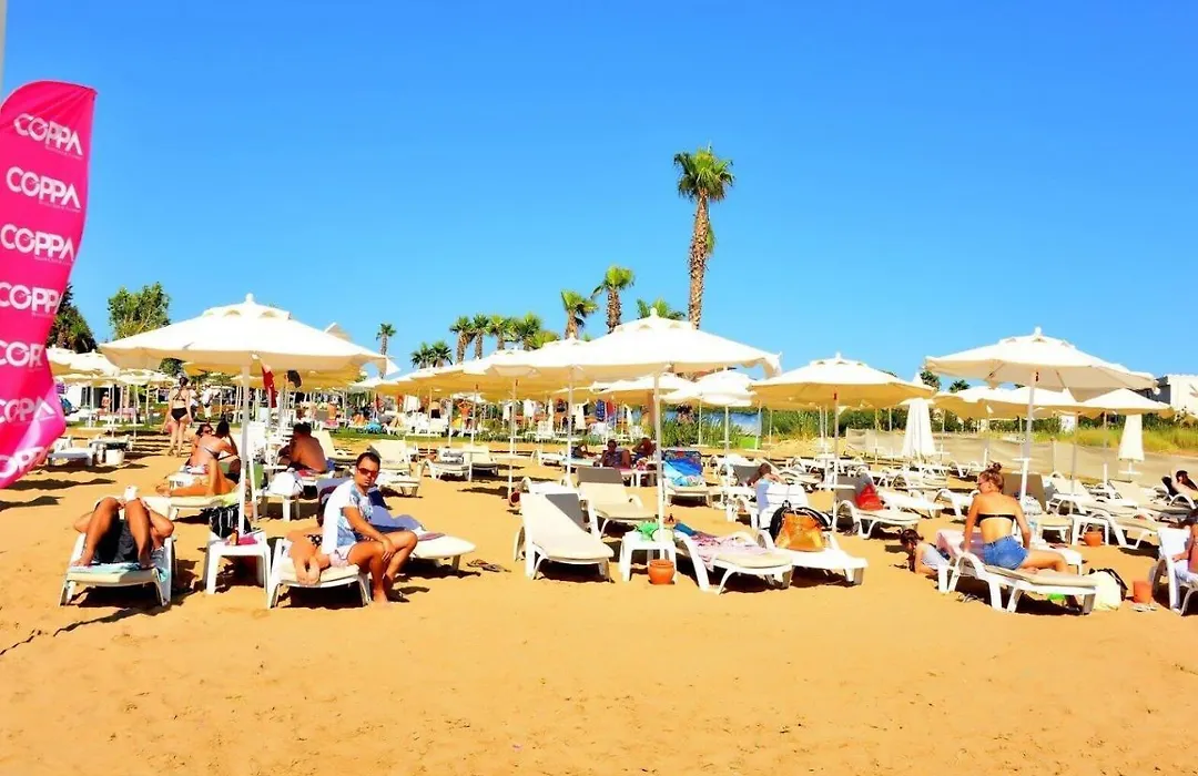 Babylon 66 An Outstanding Holiday Home Ticks Every Box-1