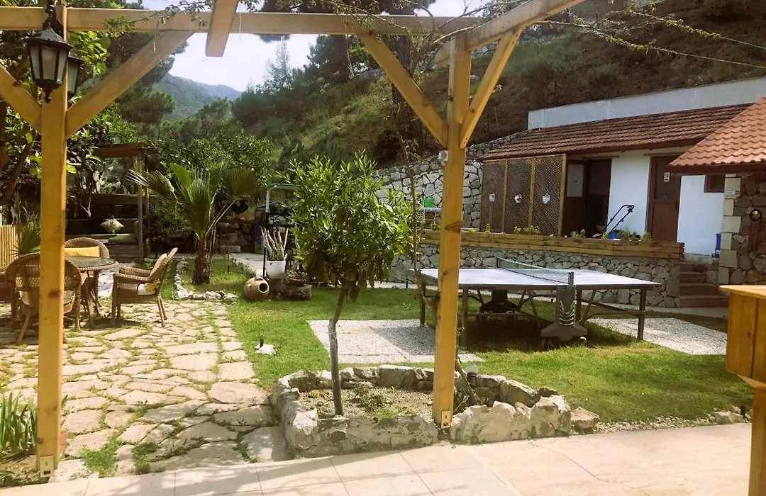 Swiss Eviniz Hotel - Adult Hotel-1