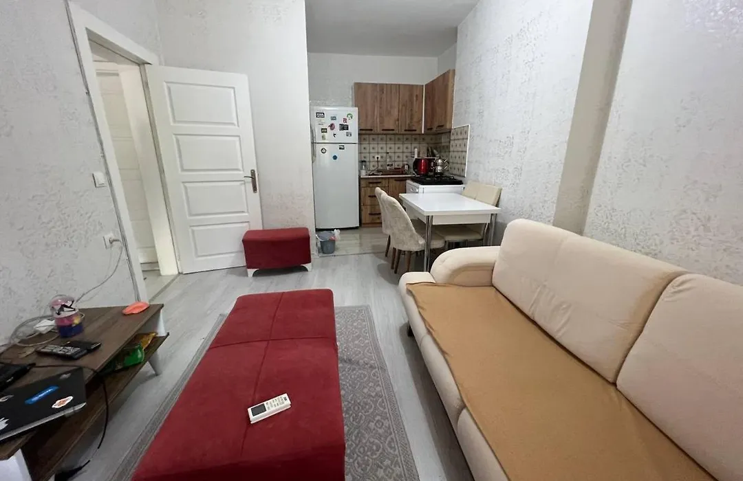 A New Nice House With Garden In City Center-1