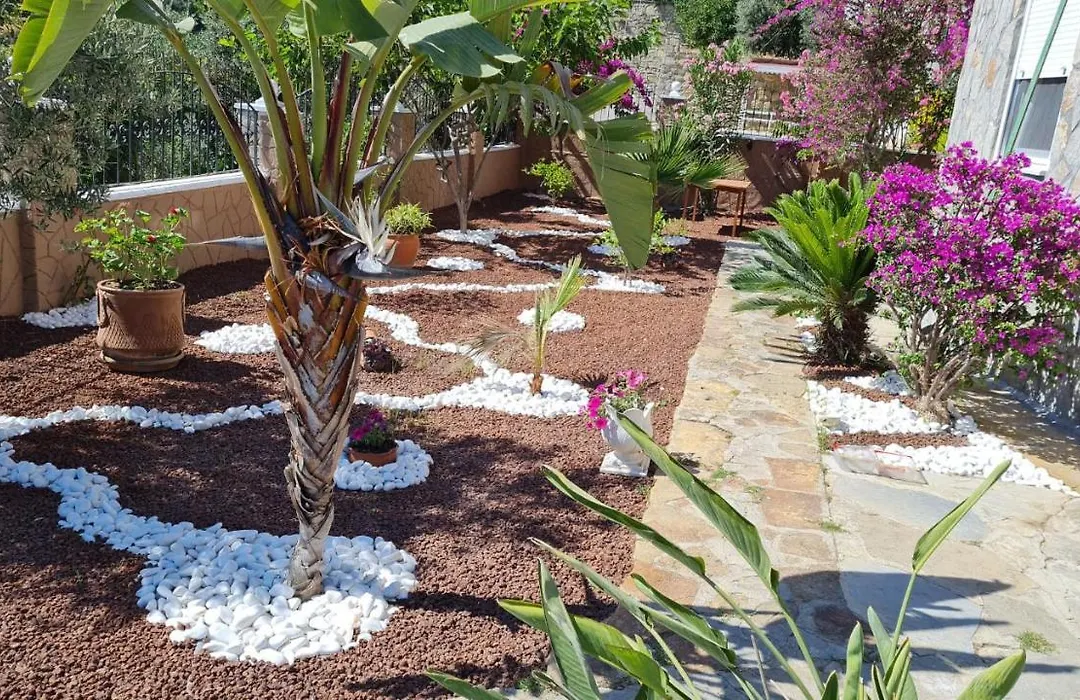 Camelia Villa-1