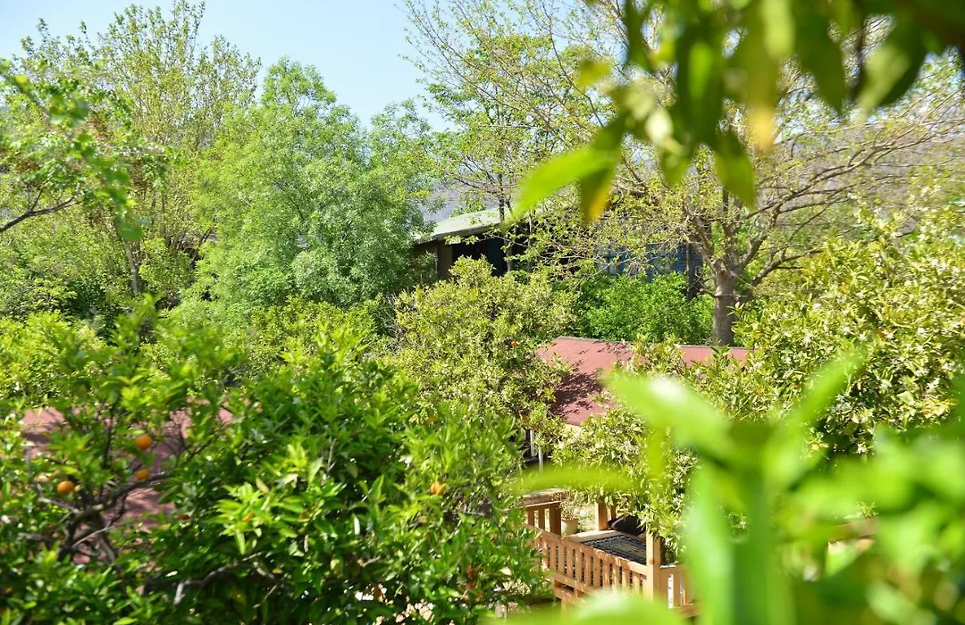Tahtavilla Pansiyon-1