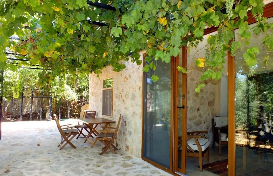 GÜLŞEN APART -Doğa Manzaralı Daire-1