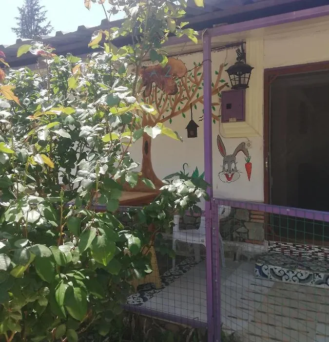 Olympos Turkuaz Apart Ve Camping-1