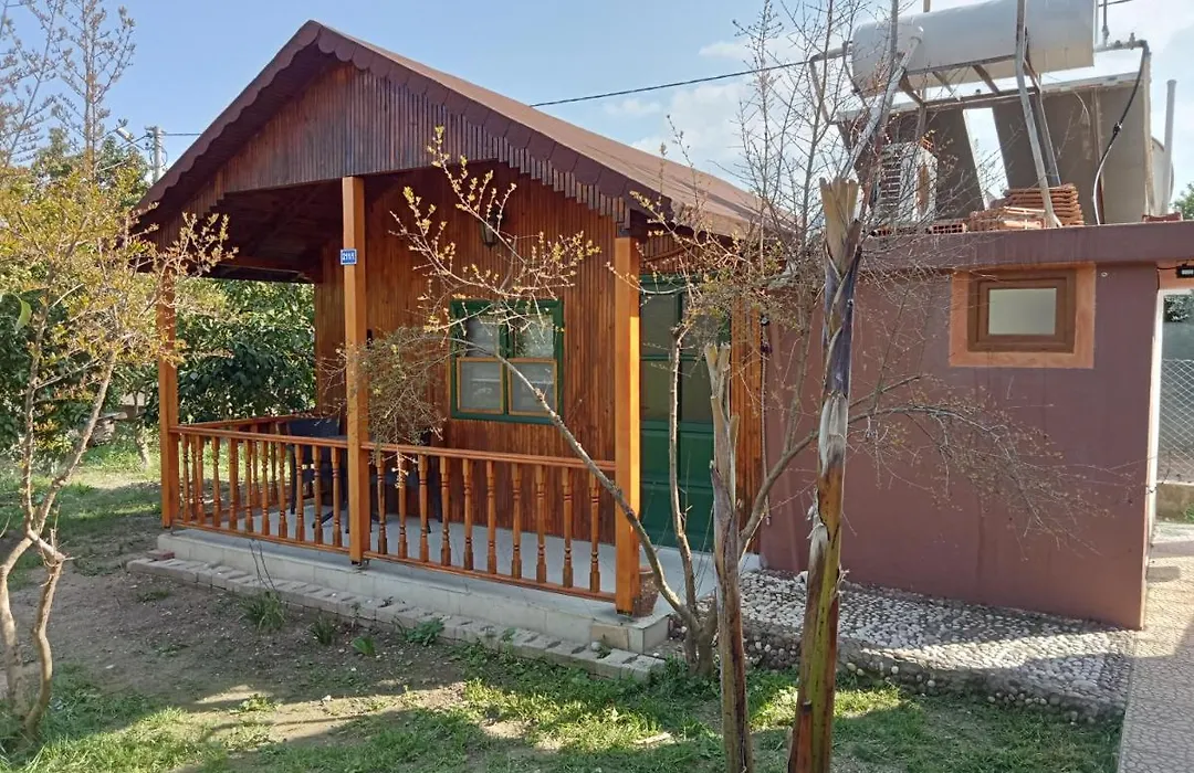 Bungalow With Access To A Large Garden Near Beach-1