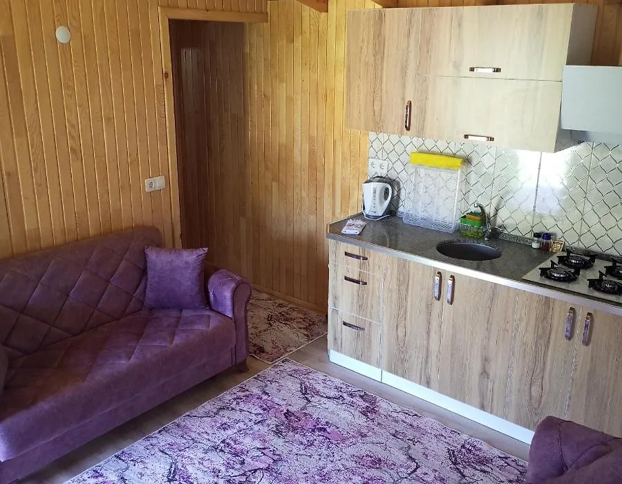 Fidelya Bungalow Evleri-1
