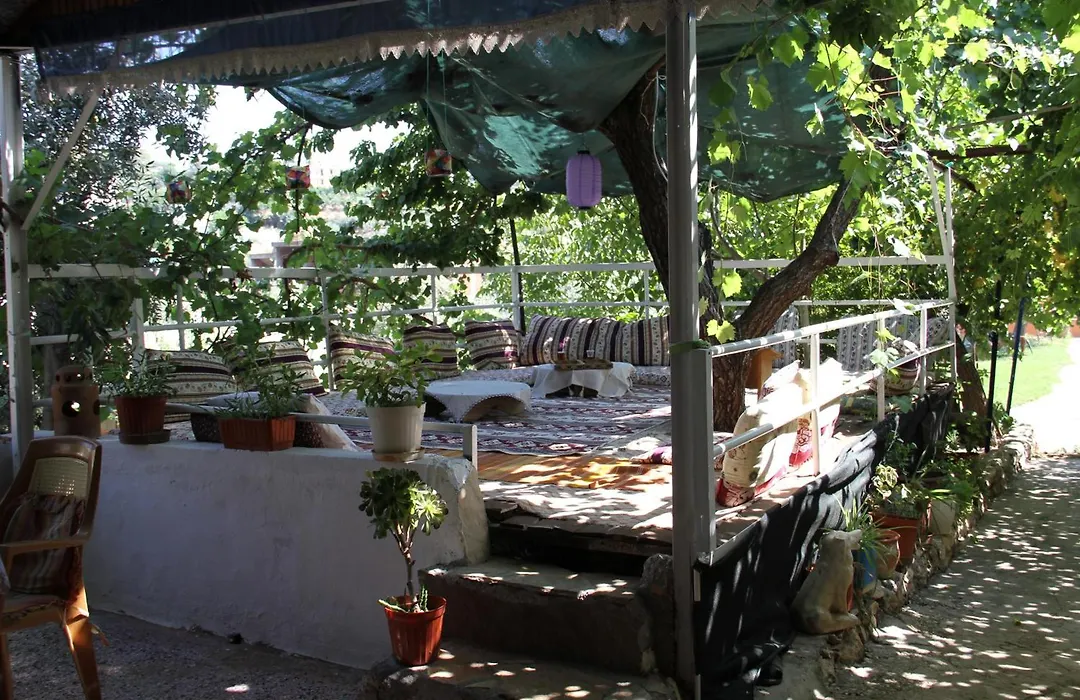Rose Hotel B&B-1