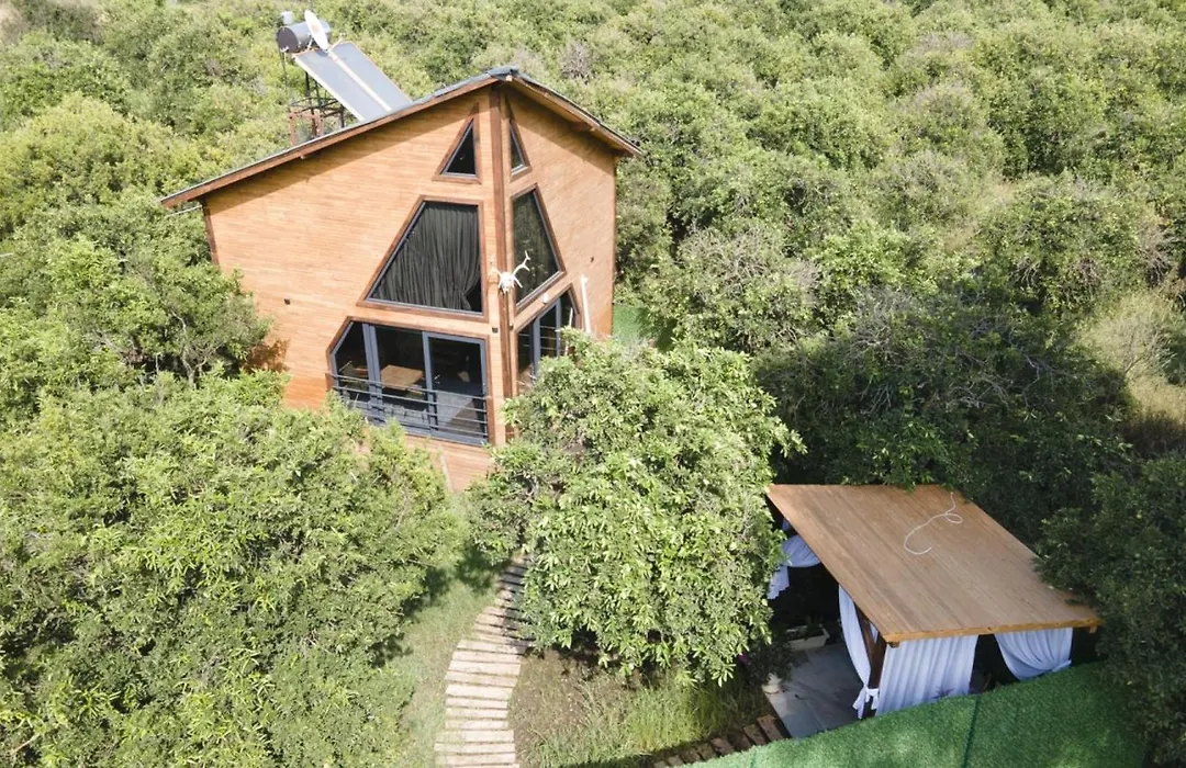 Peaceful Bungalow In Nature W Garden In Antalya-1