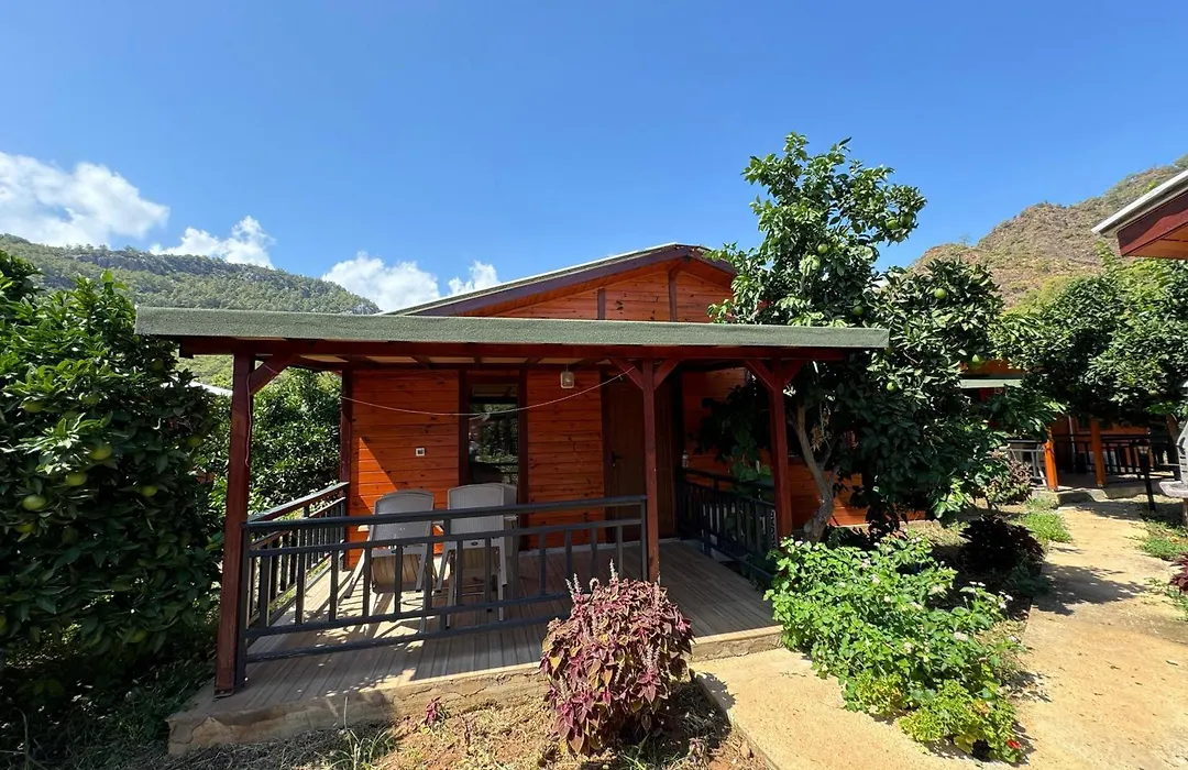 Anka Bungalov Hotel-1