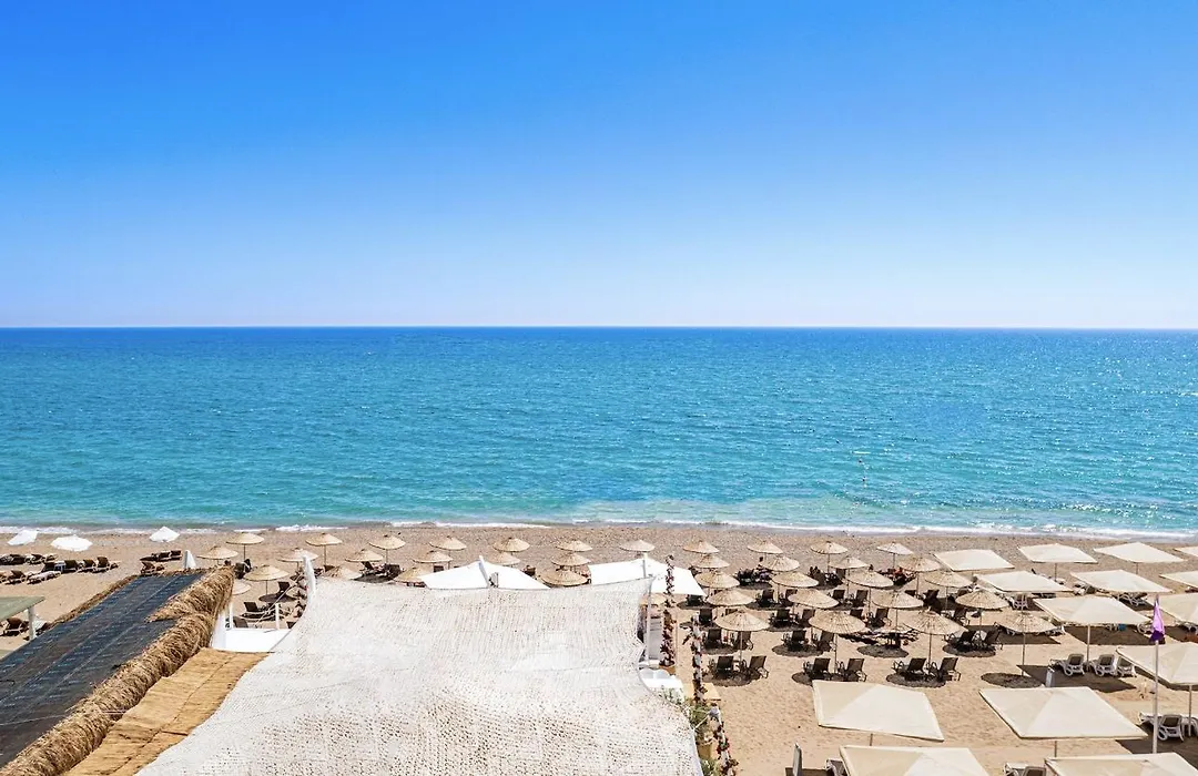 Berry Blue Hotels-1