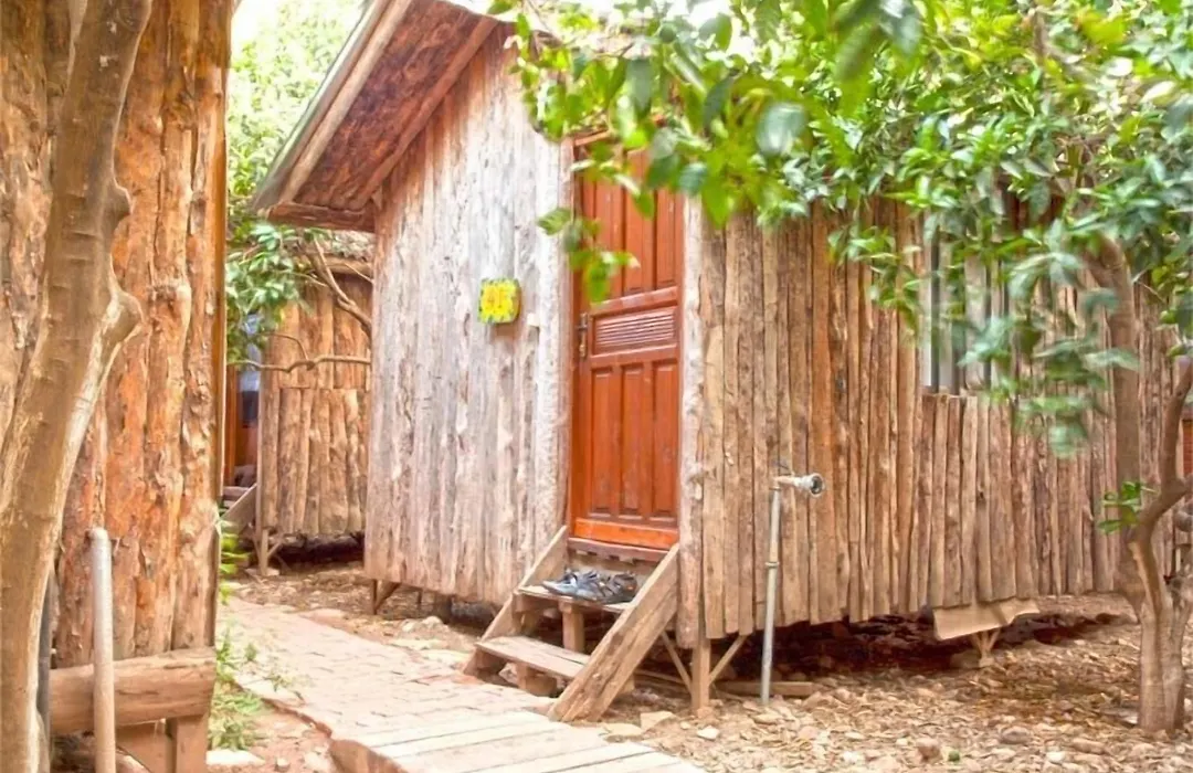 Bayrams Tree Houses-1