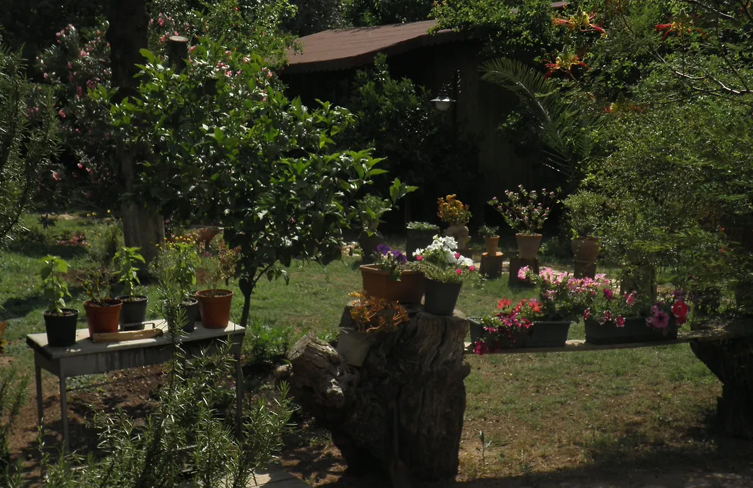 Kibala Hotel-1