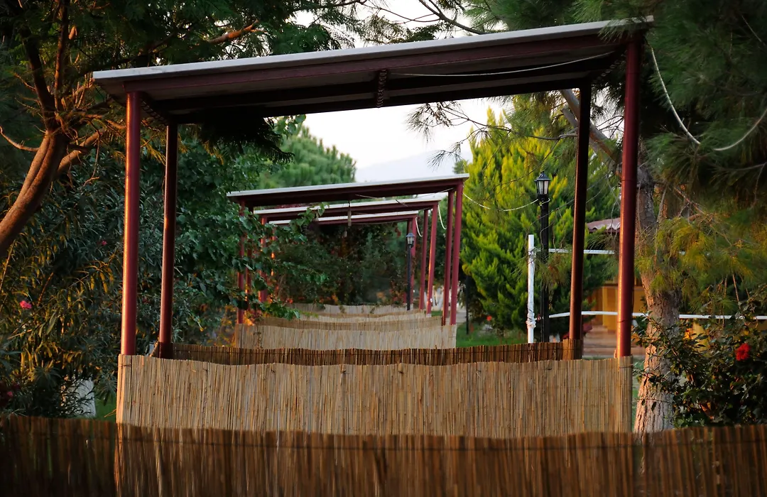 Koru Beach Club-1