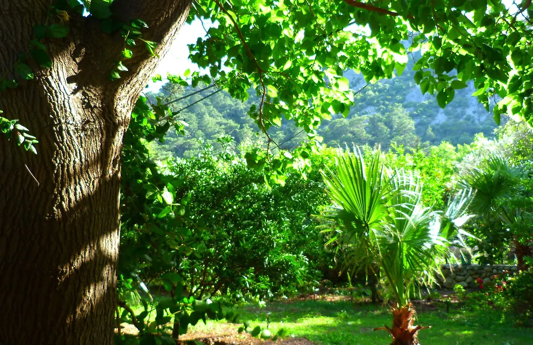 Simge Pension-1