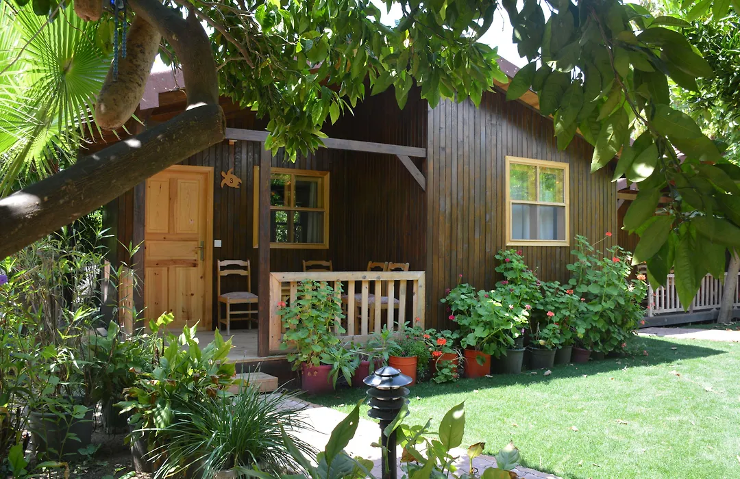 Caretta Caretta Pension-1