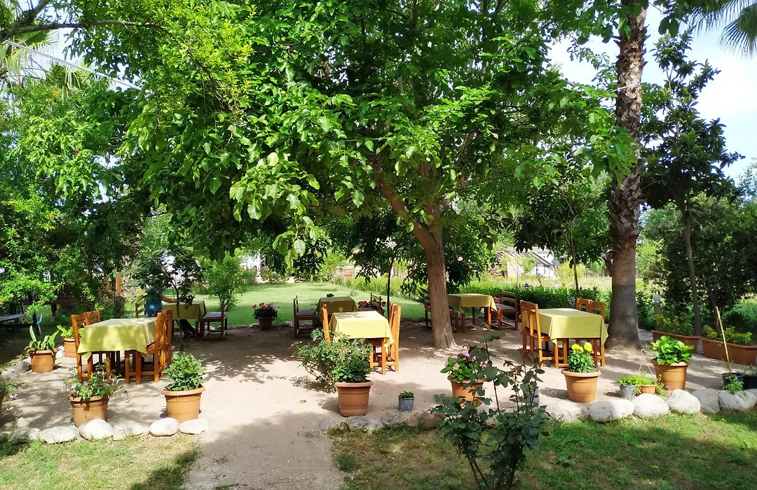 Olympos Yavuz Hotel-1