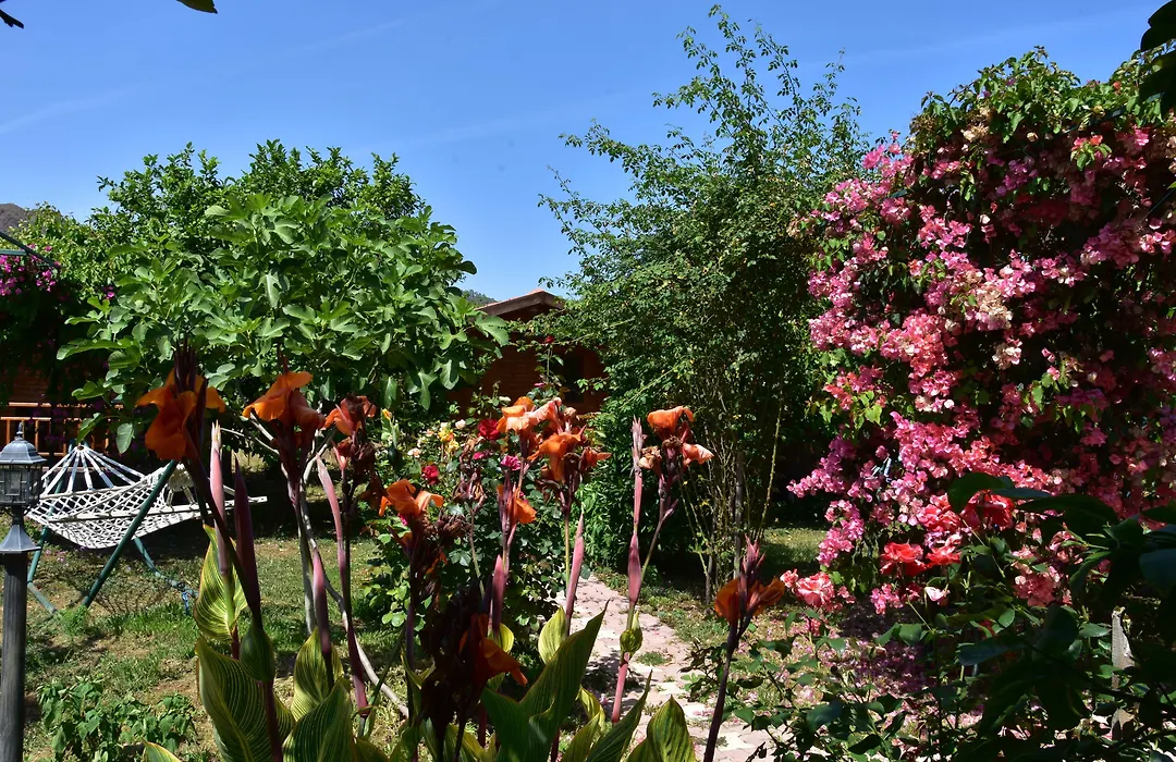 Lemon Garden Lodge-1
