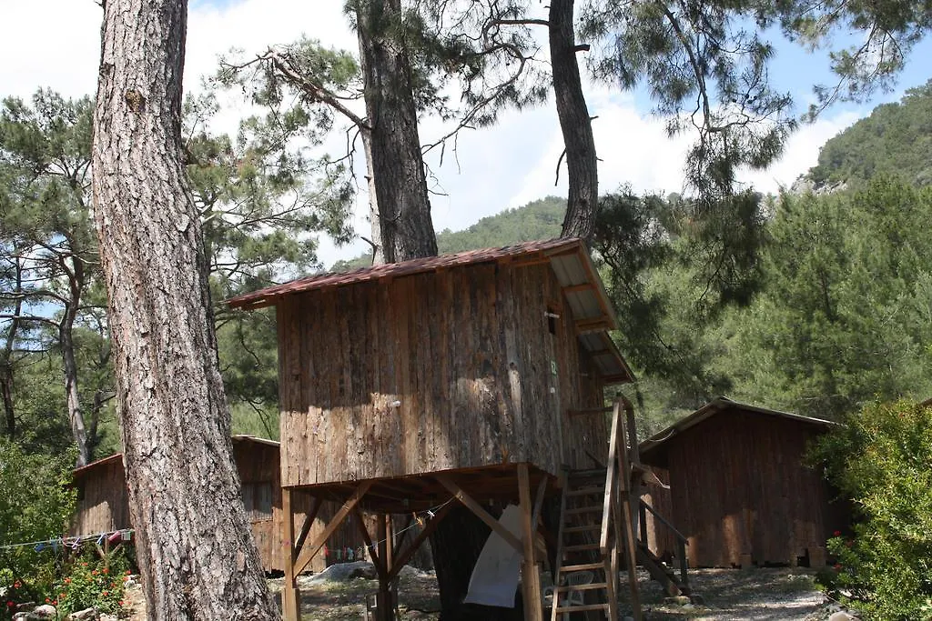 Saban Tree Houses-1