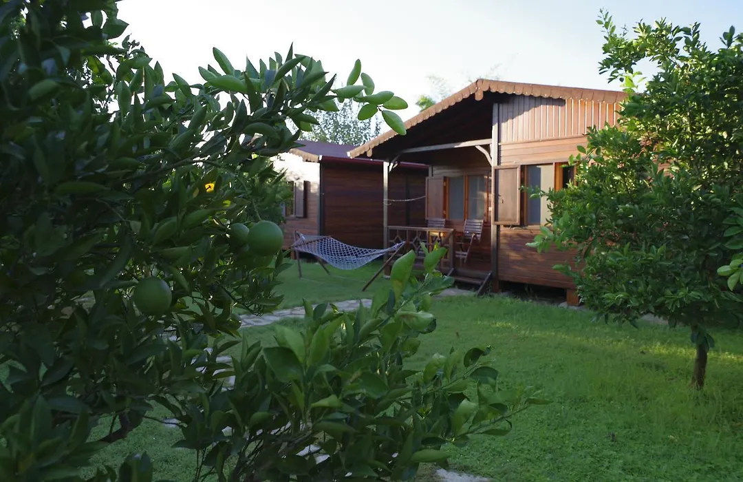Ozge Bungalow Hotel-1