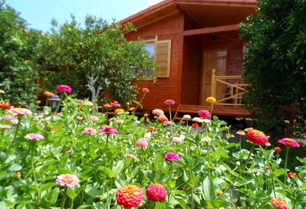 Ugur Pansiyon Bungalows-1