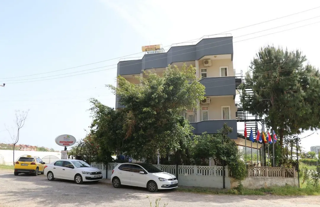 Delfin Otel-1