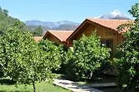 Azra Villas-1