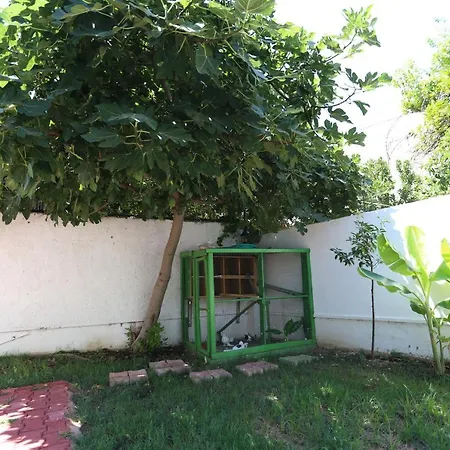 Paradise Homes-2