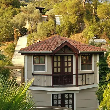 Hotel 212 Olympos-2
