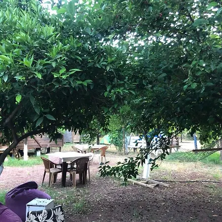 Truva Pansiyon-3