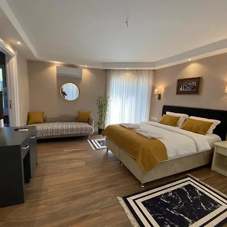 Hotel 212 Olympos-3