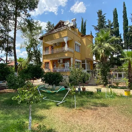 Villa Omar-2
