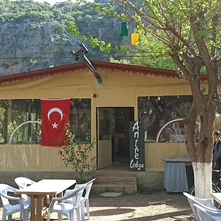 Antrelodge-3