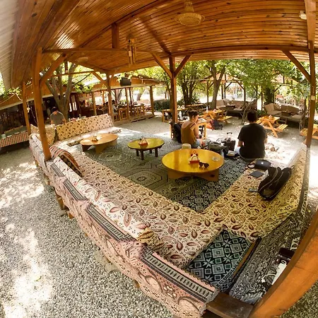 Saban Tree Houses-3