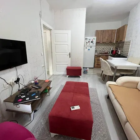 A New Nice House With Garden In City Center-3