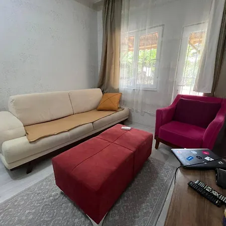 A New Nice House With Garden In City Center-2