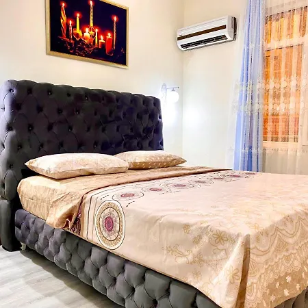 Jazzy Homes Top Class,100 Mb Fast Internet-3